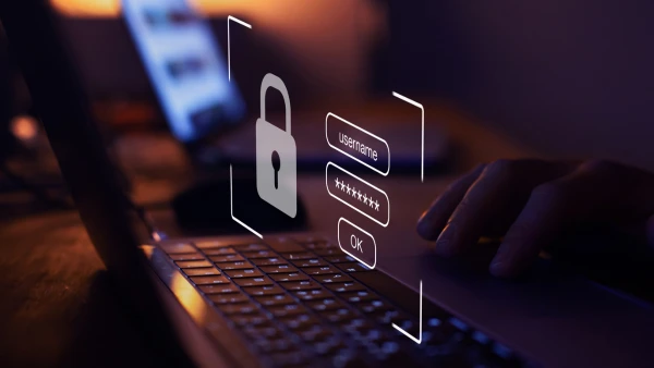 What is BullPhish ID