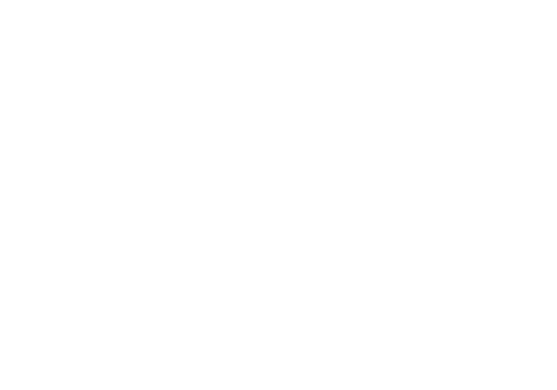 white-logo-avaya